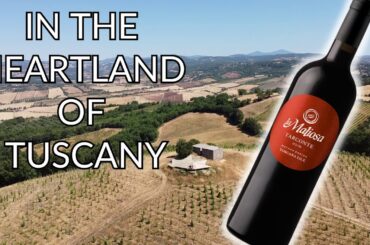 A Gem of Sustainable Wine: LA MALIOSA Winery and Farm