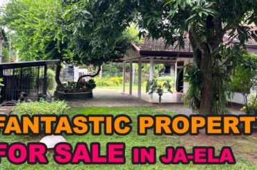 Property for sale in Ja-Ela Sri Lanka