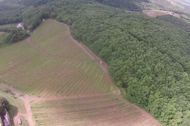Italian Vineyards from the Sky