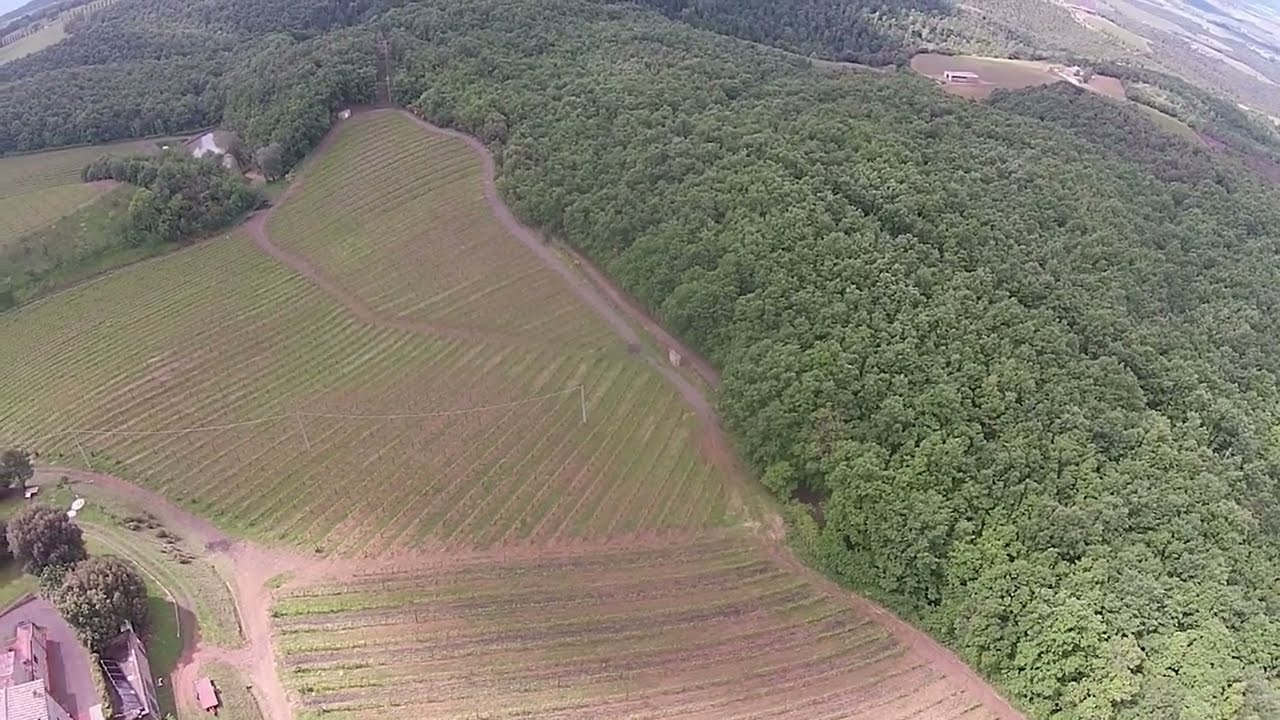 Italian Vineyards from the Sky Italian Vineyards from the Sky