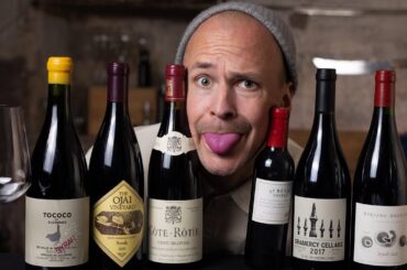 Syrah Surprises - Unexpected Discoveries and Disappointments