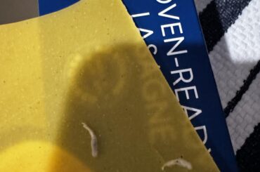 Icky Barilla lasagna