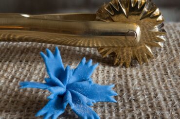 Rotella tagliapasta v2