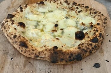 My favorite pizzas of 2023!