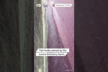 The Red Wine Flood of Portugal