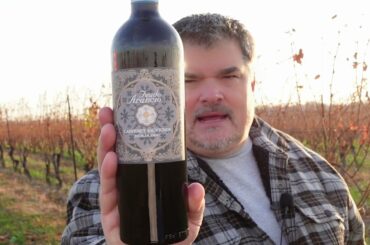 SURPRISING Feudo Arancio 2020 Cabernet Sauvignon (Italy)