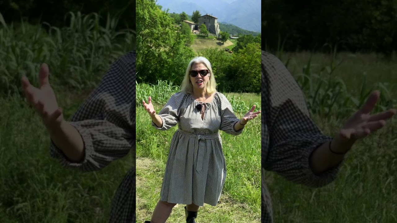 Wait, we have a VINEYARD?!? Wait, we have a VINEYARD?!?