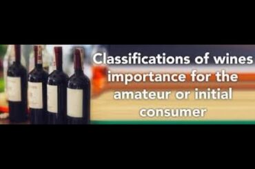 wine classification, world of wine