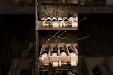 Best Wine Cellar in Italy! | Ragusa Sicily #shortvideo #shorts #short #shortsvideo #youtubeshorts