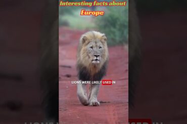 Europe's WILDEST Secrets You Won't Believe!  #shorts #viral #trending #viralvideo #ytshorts