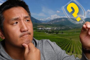 Does TERROIR really affect the taste of WINE???