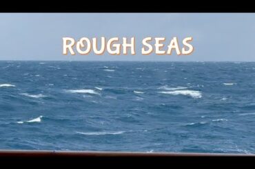 Overcoming the Storm: Ultimate World Cruise in Rough Seas