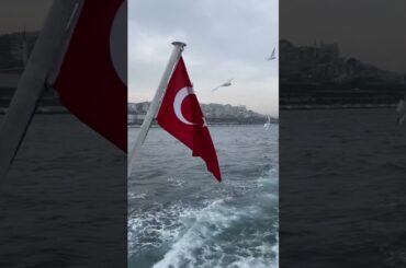 "Etiquette Across Cultures: Exploring Unconventional Food Customs Around the World"