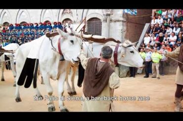 Top 10  Experiences in Tuscany, Italy To Do In 2024 | Travel Video | Vacation Ideas |