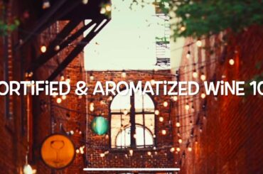 Fortified and Aromatized Wine 101