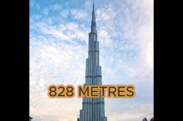 Facts That Will Scare You... #scary #facts #interestingfacts