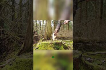 Discover Delicious Italian Cuisine  Pasta Recipes from Italy