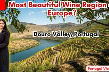 Douro Valley Portugal | Wine Tasting & Cruise | The Candid Explorers