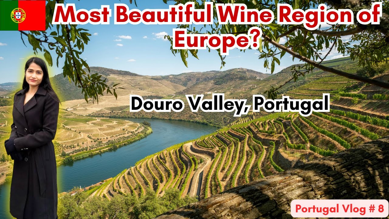 Douro Valley Portugal | Wine Tasting & Cruise | The Candid Explorers Douro Valley Portugal | Wine Tasting & Cruise | The Candid Explorers