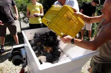 Wine making in Florence, Italy