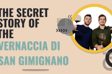 One of the OLDEST Wine you can TRY! The Vernaccia di San Gimignano all his history