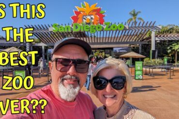 IS THIS THE BEST ZOO EVER?