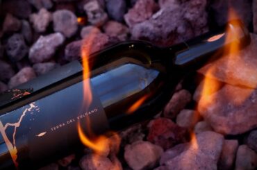Terra del Vulcano - Cooper's Hawk March 2024 Wine of the Month