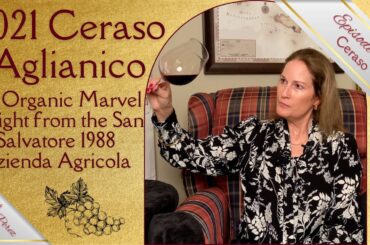 Charismatic 2021 Ceraso Aglianico! Wine Tasting a Campania Region Red from San Salvatore 1988 Winery