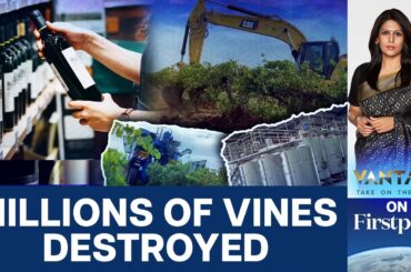 Why Australia Wants Less Wine | Vantage with Palki Sharma