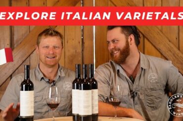 Winemaker's Craft Single Suitcase Collection - 2024 Release Saddler's Creek Wines Hunter Valley