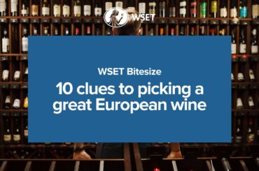 WSET Bitesize   10 clues to picking a great European wine