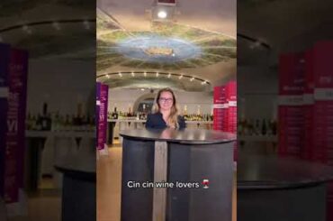 5 things about this wine: Chianti Classico #shorts #italianwine