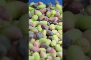 Savouring Slow: A Culinary Journey Through Slow Travel