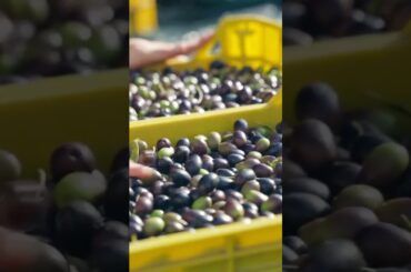 Exploring Italy's Culinary Heritage: A Slow Travel Food Journey #slowtravel #travel #culinarytravel