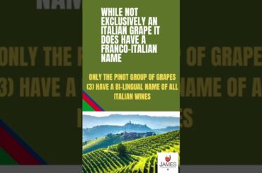 How to Pronounce Pinot Bianco #howtopronounce #pinotbianco