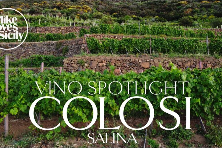 COLOSI WINERY - Vino Spotlight