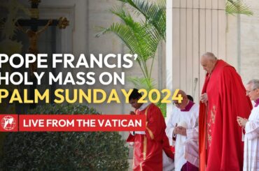 LIVE from the Vatican | Pope Francis’ Holy Mass on Palm Sunday & Angelus prayer | March 24th, 2024