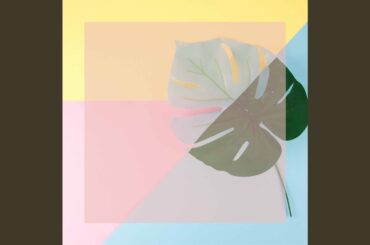 Dream-Like Ambience for Deluxe Italian Dining