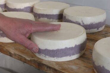 Pasta Cacio e Pepe | ITALIAN FOOD LIVE