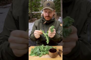 Kale Pasta in the Forest