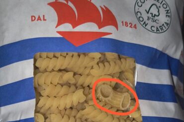 Hey dude. What are you doing right there?