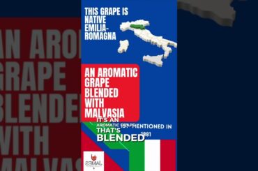 How to Pronounce Ortrugo #howtopronounce #shorts #wine