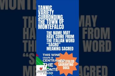 How to Pronounce Sagrantino #howtopronounce #sagrantino #shorts #umbria