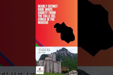 How to Pronounce Cargarello - Nearly Extinct White Wine Grape #howtopronounce #marche