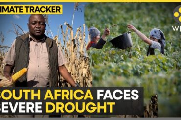South Africa faces extreme drought | How will climate change affect wine? | WION Climate Tracker
