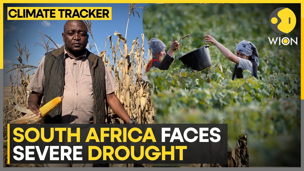 South Africa faces extreme drought | How will climate change affect wine? | WION Climate Tracker South Africa faces extreme drought | How will climate change affect wine? | WION Climate Tracker