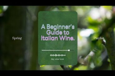 A Beginner's Guide to Italian Wine.