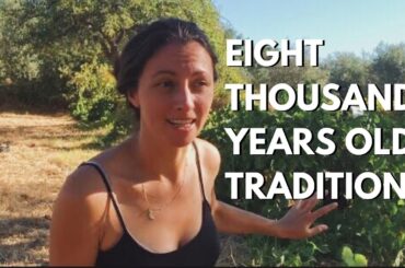 STOMPING GRAPES with our FEET to make WINE.