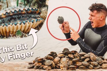 I Caught and Cooked LIVE Scallops