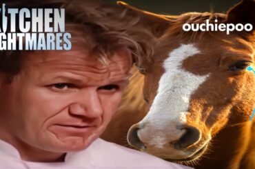 does this hurt the horse? | Kitchen Nightmares | Gordon Ramsay